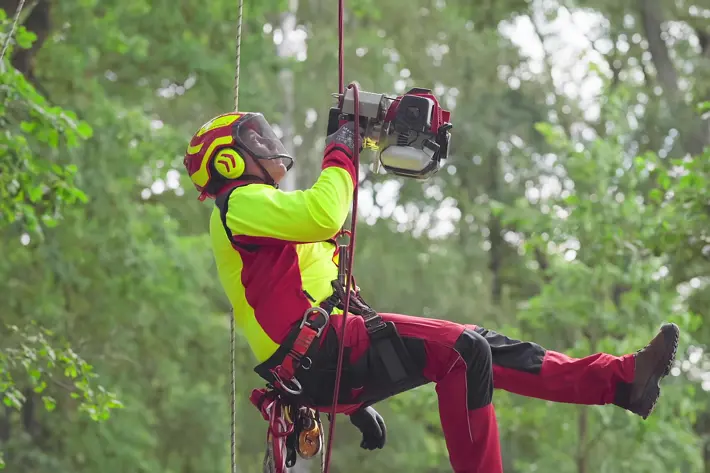 Eder Powerclimber 02[28457]