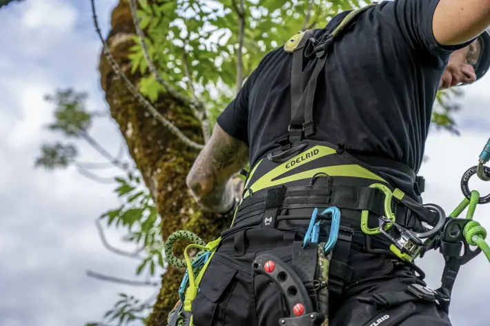 Edelrid Treeraptor