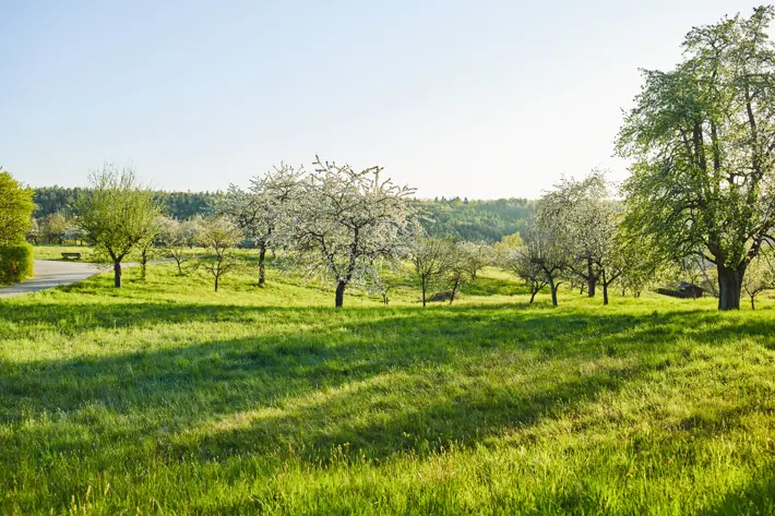 19521 I STIHL NATURE DISTANCE GERMANY IM 129 Global
