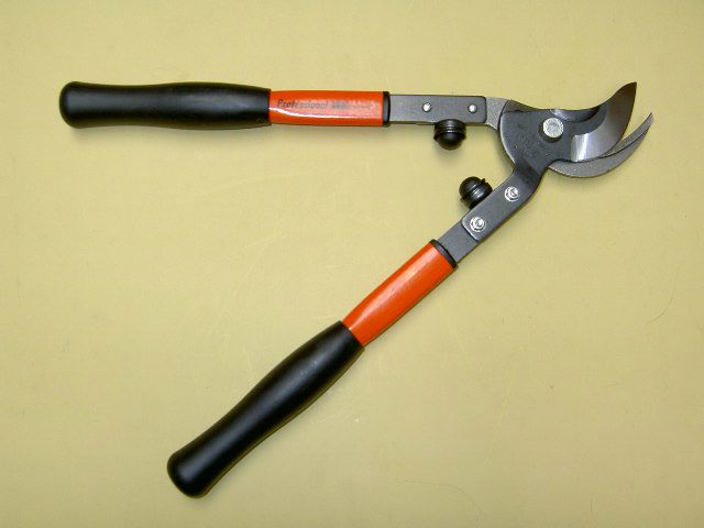 a3e655f4-020b-450f-9344-bb73f1afaab3.jpg