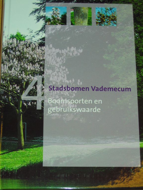 c941d153-f815-487f-8282-b355ae6e898b.jpg