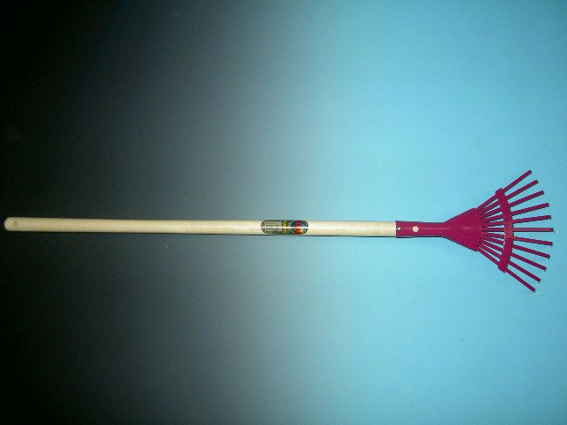 195bcb29-64e5-45ff-898c-0067546dd398.jpg