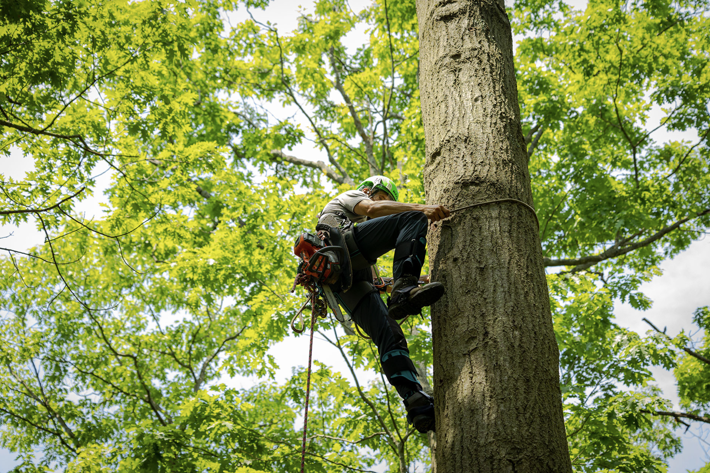 Scherm­Afbeelding 2025 05 06 Om 11.58.21